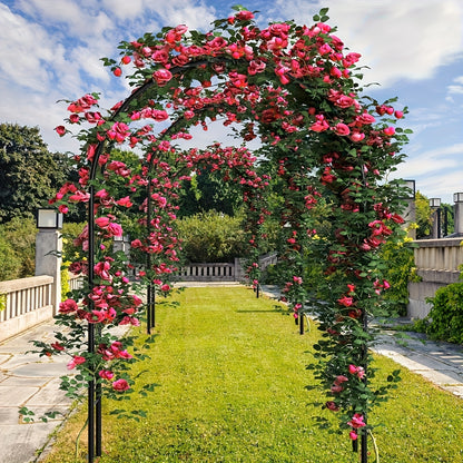Freely Assembled 2‑Size Metal Garden Arch, Outdoor Trellis for Climbing Plants Wedding Garden Decoration
